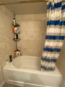 Room for Rent – $560   Utilities | Prime Location - Photo 3