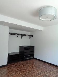Modern Renovated Stunning 2 Bedroom Apt-Porch-Great Kitchen - Photo 6