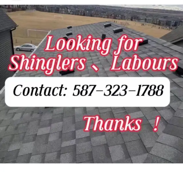 looking for roof shinglers and labours