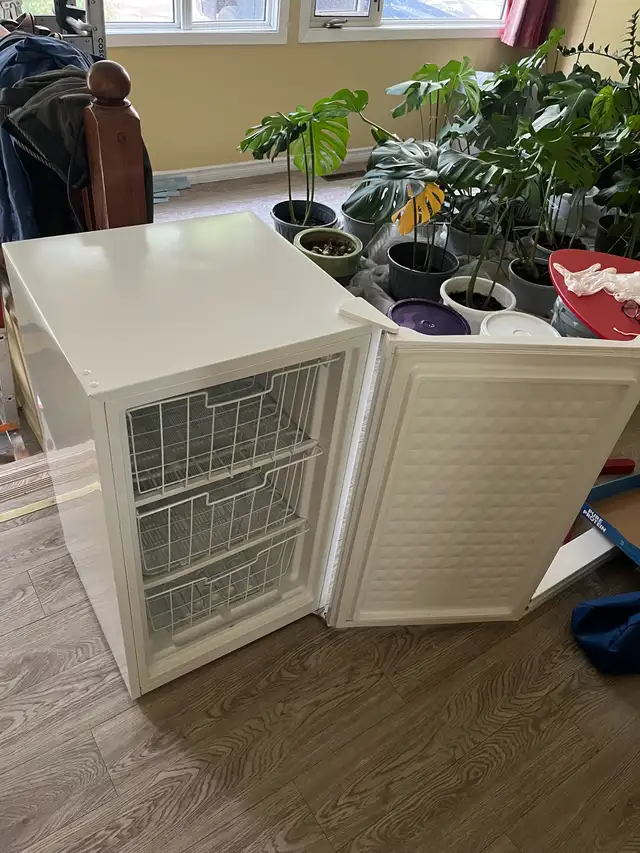 small frozen for sale