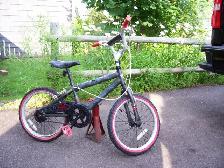 Last one-lots of summer fun on this bike