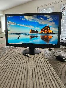 NEC 24' monitor Matte non-glare