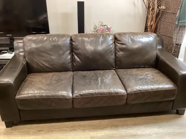 free couch and love seat