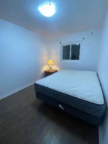 Private Room for rent available on Sept  1, 2026 in brampton