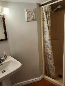 Clean, furnished rooms, only 5 min. walk to UoW on Rankin Ave. - Photo 8