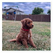 ❤️ Guardian Home Opportunity ❤️ - Photo 2