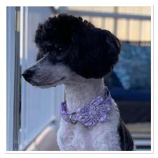 ❤️ Guardian Home Opportunity ❤️ - Photo 4