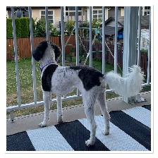 ❤️ Guardian Home Opportunity ❤️ - Photo 6