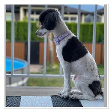 ❤️ Guardian Home Opportunity ❤️ - Photo 7