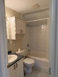 Centrtal, 1 Bdrm apt, available Sept 1st. - Photo 2