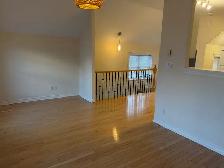 Centrtal, 1 Bdrm apt, available Sept 1st. - Photo 7