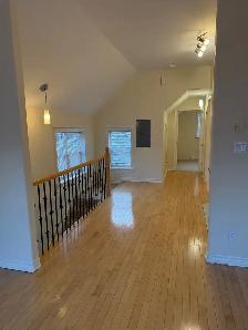 Centrtal, 1 Bdrm apt, available Sept 1st. - Photo 8
