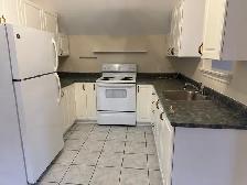 Centrtal, 1 Bdrm apt, available Sept 1st. - Photo 9