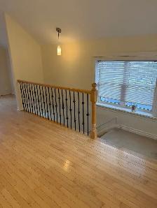 Centrtal, 1 Bdrm apt, available Sept 1st. - Photo 10