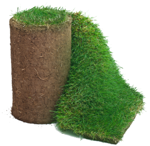 Pre-Book Your Fresh Kentucky Bluegrass SOD - 3036 Main St.