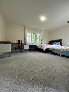 Best Deal! Really Bright! Very Spacious One Bedroom Unit Rent - Photo 5