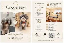 Professional Dog Grooming in NorthYork (Bayview &Sheppard) - Photo 9