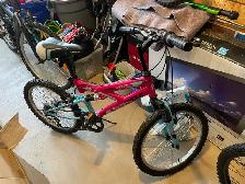 Girls youth mountain bike 20 inch tires.  $60