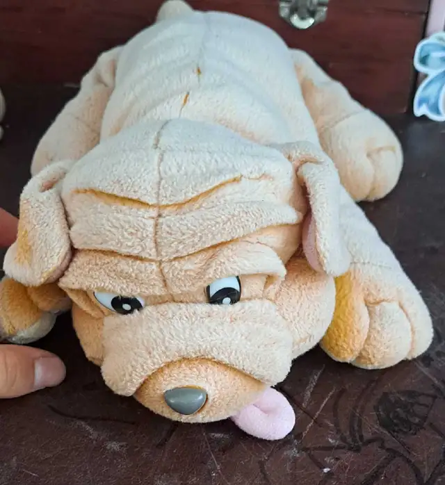 toutou chien
