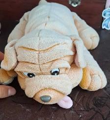 toutou chien