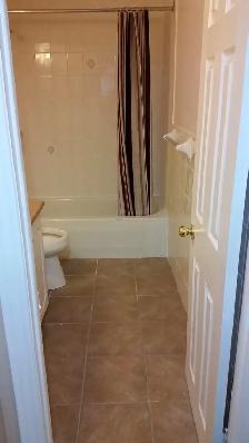 Spacious 2   1 Bedroom Basement Apartment for Rent in Markham (S - Photo 4