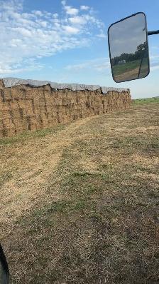 Hay for sale - Photo 2