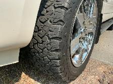 2010 Expedition Limited - Photo 2
