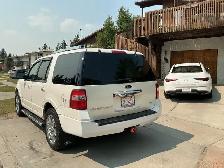 2010 Expedition Limited - Photo 3