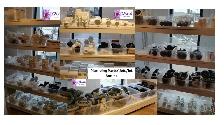 HOT TUB SUPPLIES – COVERS • PUMPS • PARTS • CHEMICALS • FILTERS - Photo 7