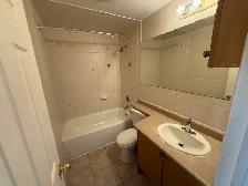 2 BDRM spacious apartment all incl - Photo 10