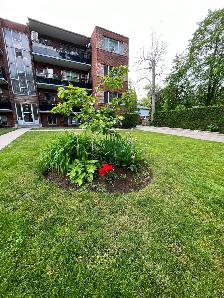 2 Bedroom Apartment Close To Lake & Downtown Burlington, Aug.01 - Photo 11
