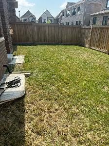 grass cutting & SOD - Photo 2