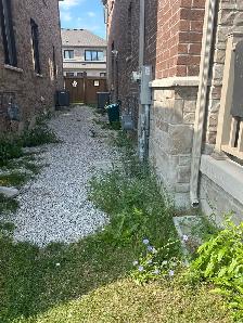 grass cutting & SOD - Photo 3