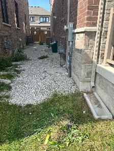 grass cutting & SOD - Photo 4
