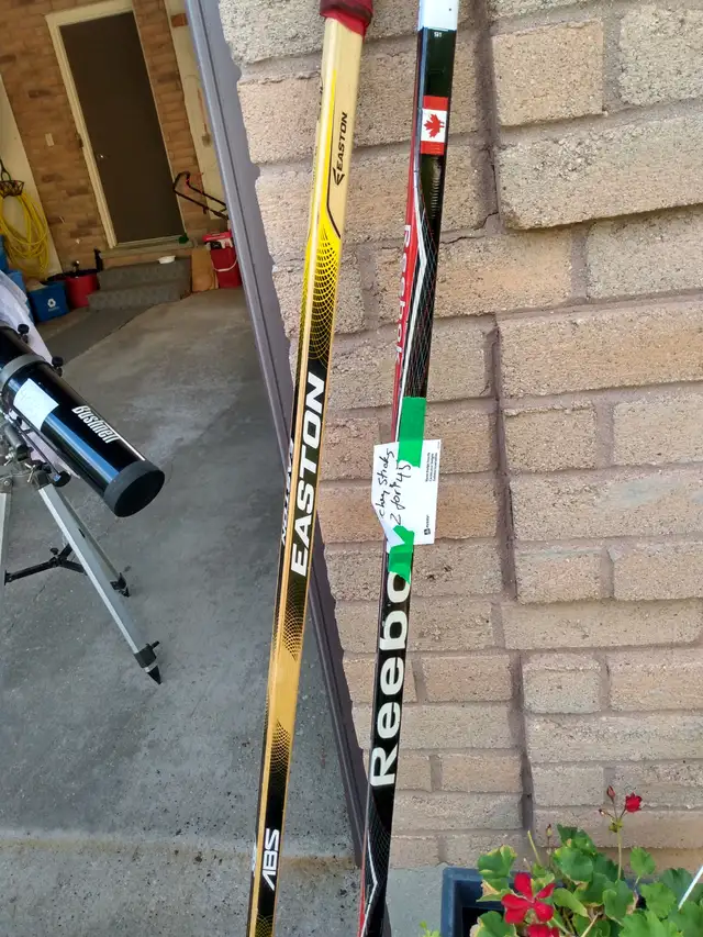 Adult Easton and Reebok hockey sticks