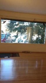 Room for Rent near U of A - Photo 7
