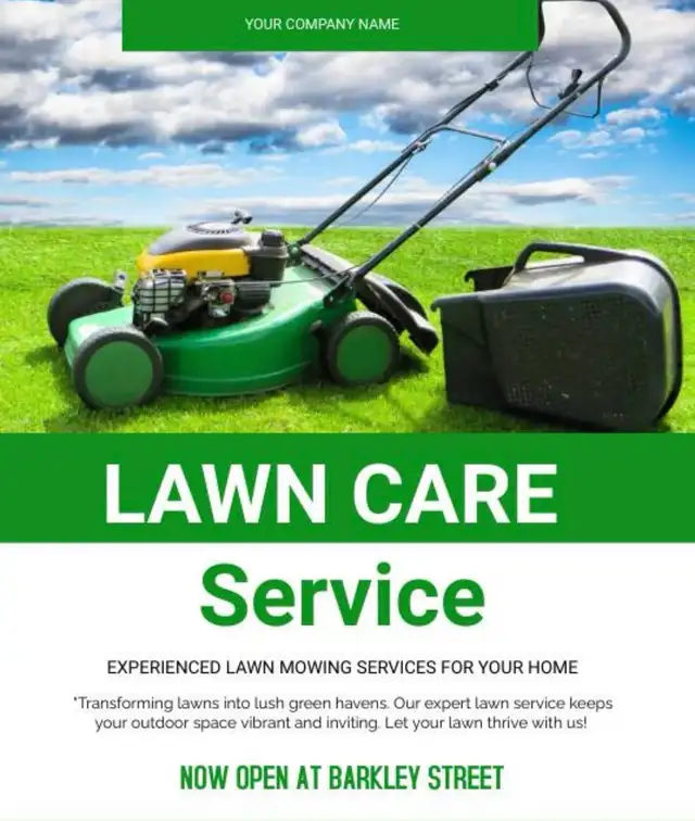 Professional Lawn & Yard Care Services