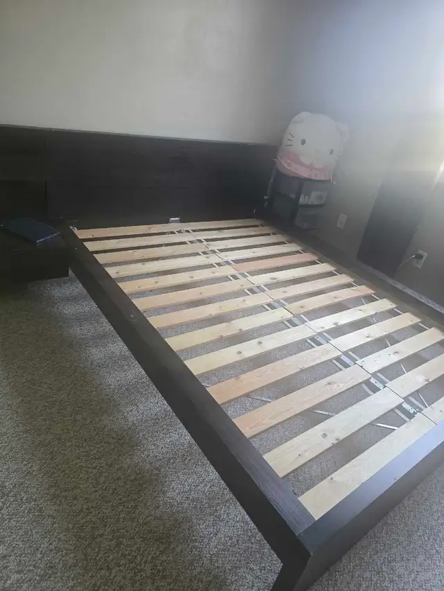 Free Queen bed with Mattress