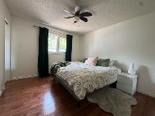3Bed 2.5Bath Plus Den House For Rent In Betsworth/Westdale - Photo 12