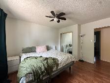 3Bed 2.5Bath Plus Den House For Rent In Betsworth/Westdale - Photo 14