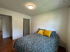 3Bed 2.5Bath Plus Den House For Rent In Betsworth/Westdale - Photo 19