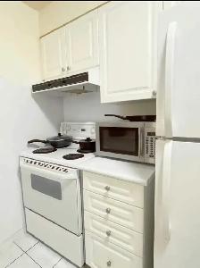 Downtown Toronto (Bay and Wellesley) 1BR for rent - Photo 5