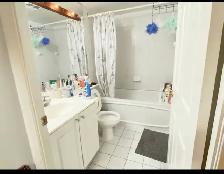 Downtown Toronto (Bay and Wellesley) 1BR for rent - Photo 6