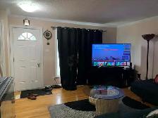 4 Bedroom House for Rent - Photo 3