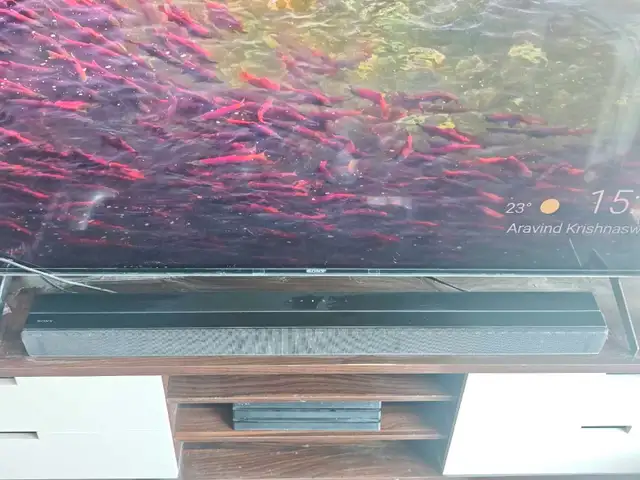 Sony Z9F Z9R surround sound system