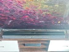 Sony Z9F Z9R surround sound system