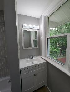 1484 Victoria Avenue Windsor, ON - Photo 19