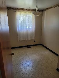 3 Bedroom Brick Bungalow - Photo 17
