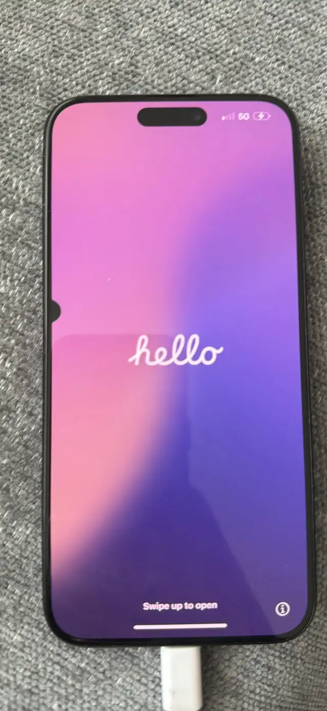 iPhone 15 pro max 256 gig
