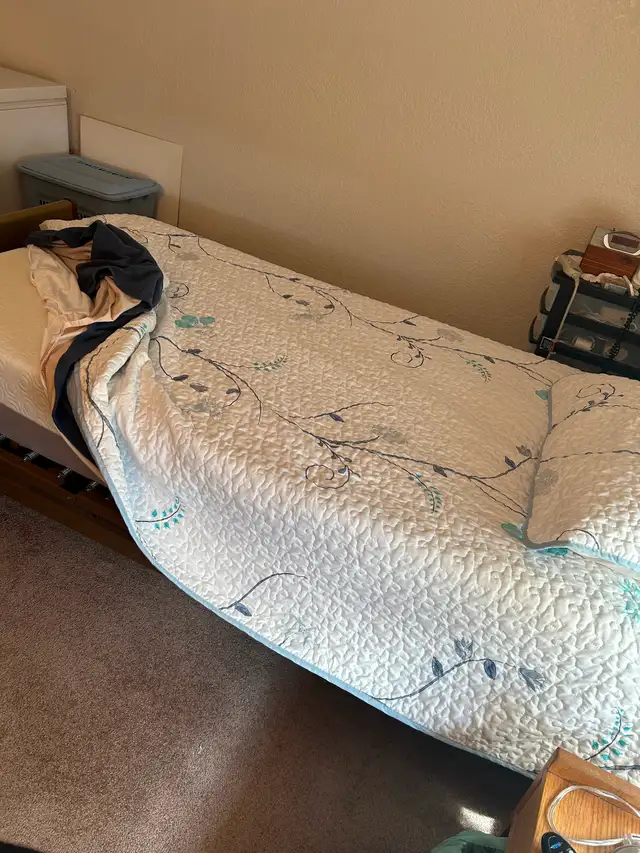 Single Electric Hospital Bed and mattresses